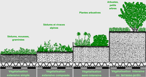 Système de végétalisation Ecovegetal