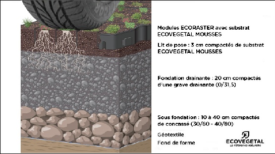 Module Ecoraster avec substrat Ecovegetal mousse